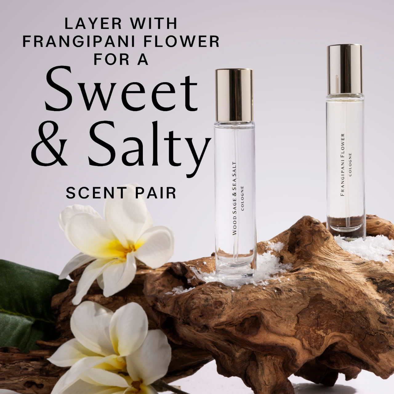 Wood Sage & Sea Salt Cologne | Men's Health Shop