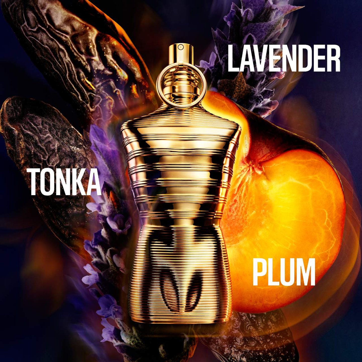 Le Male Elixir Absolu With Tonka Bean & Spicy Plum | Men's