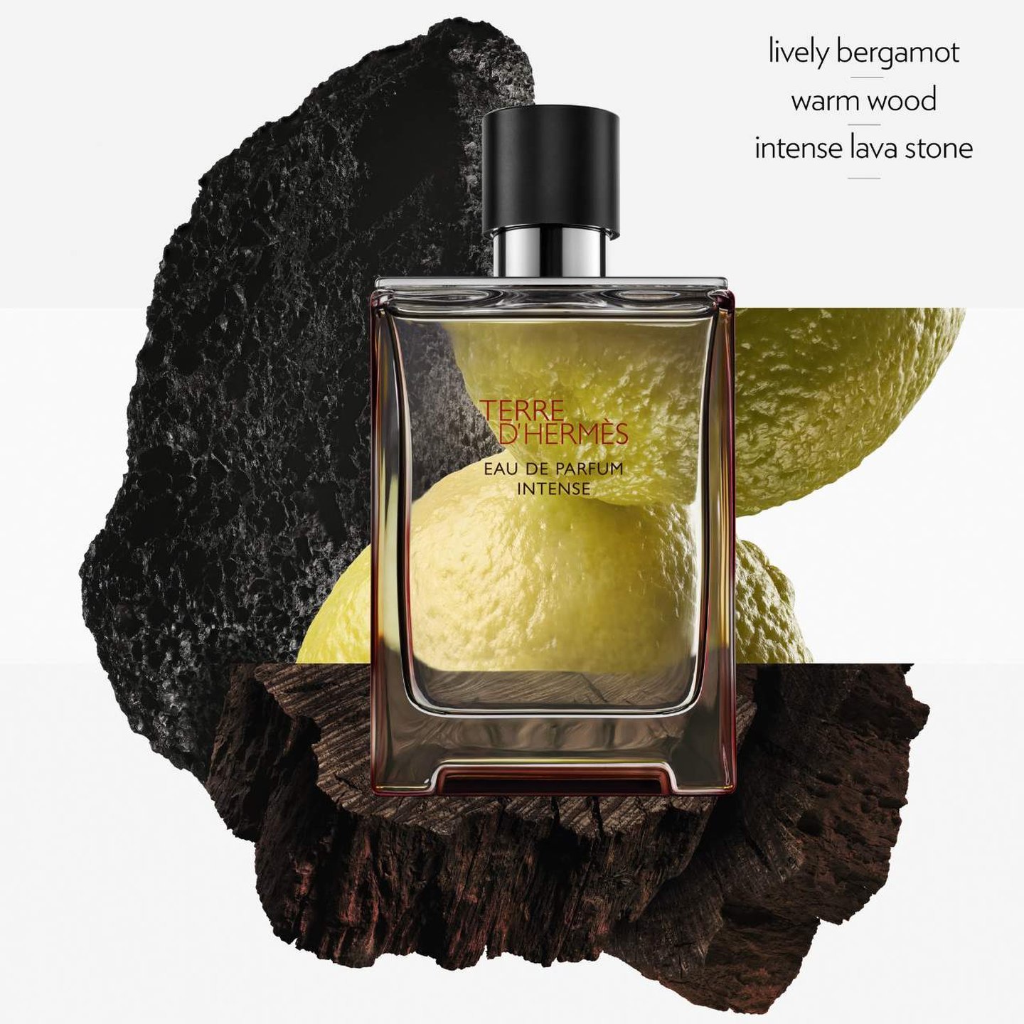 2025年新作 Terre D'hermès Shop Health Men's | Intense Parfum De Eau 香水(男性用)
